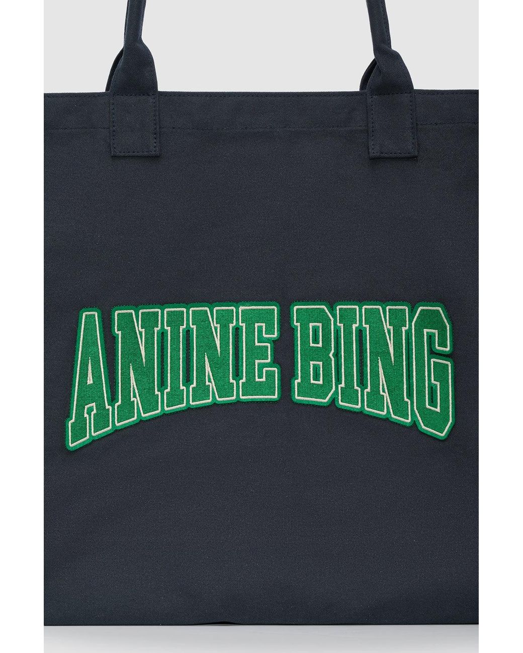 Anine Bing Blue Leo Canvas Tote