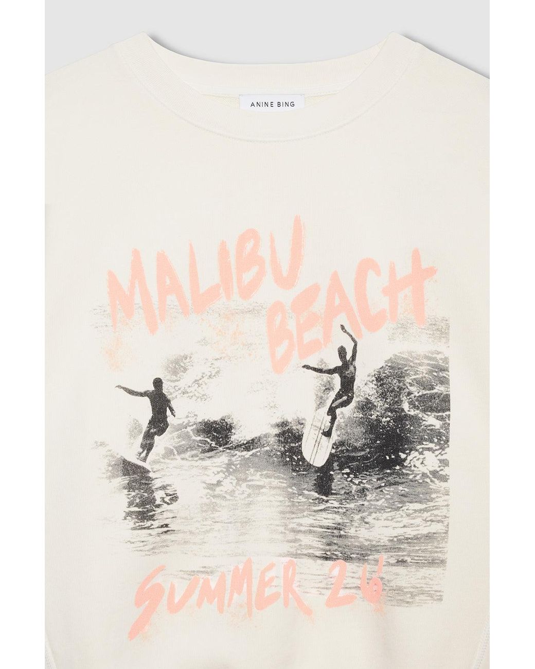 Anine Bing Blue Harry Shrunken Surfer Sweatshirt