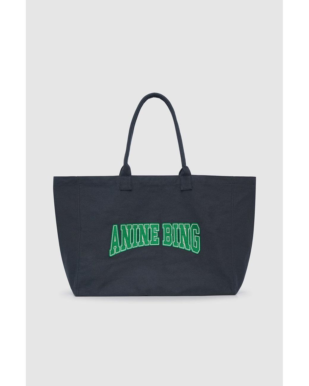 Anine Bing Blue Leo Canvas Tote