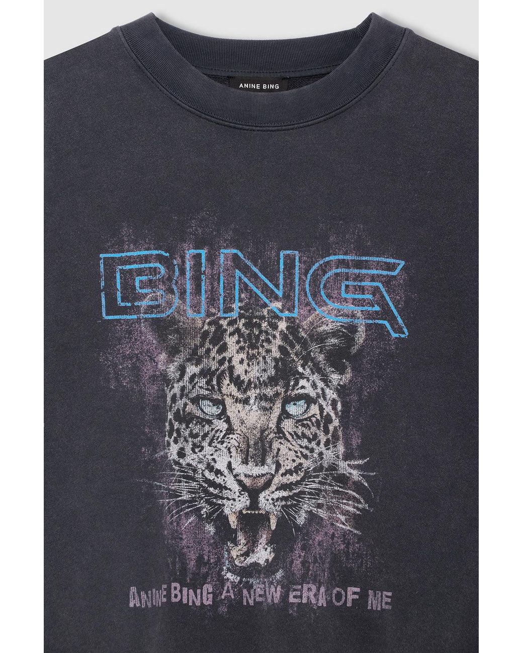 Anine Bing Blue Miles Sweatshirt Leo Muse