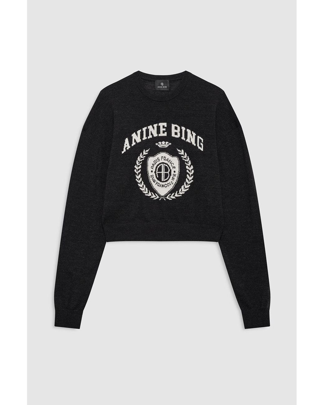Anine Bing Blue Mia Sweater