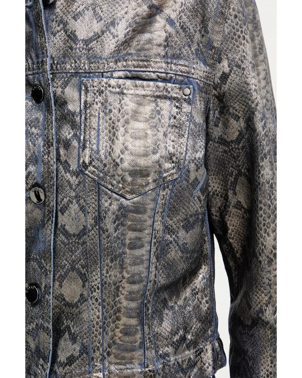 Giacca Tersa di Guess in Gray
