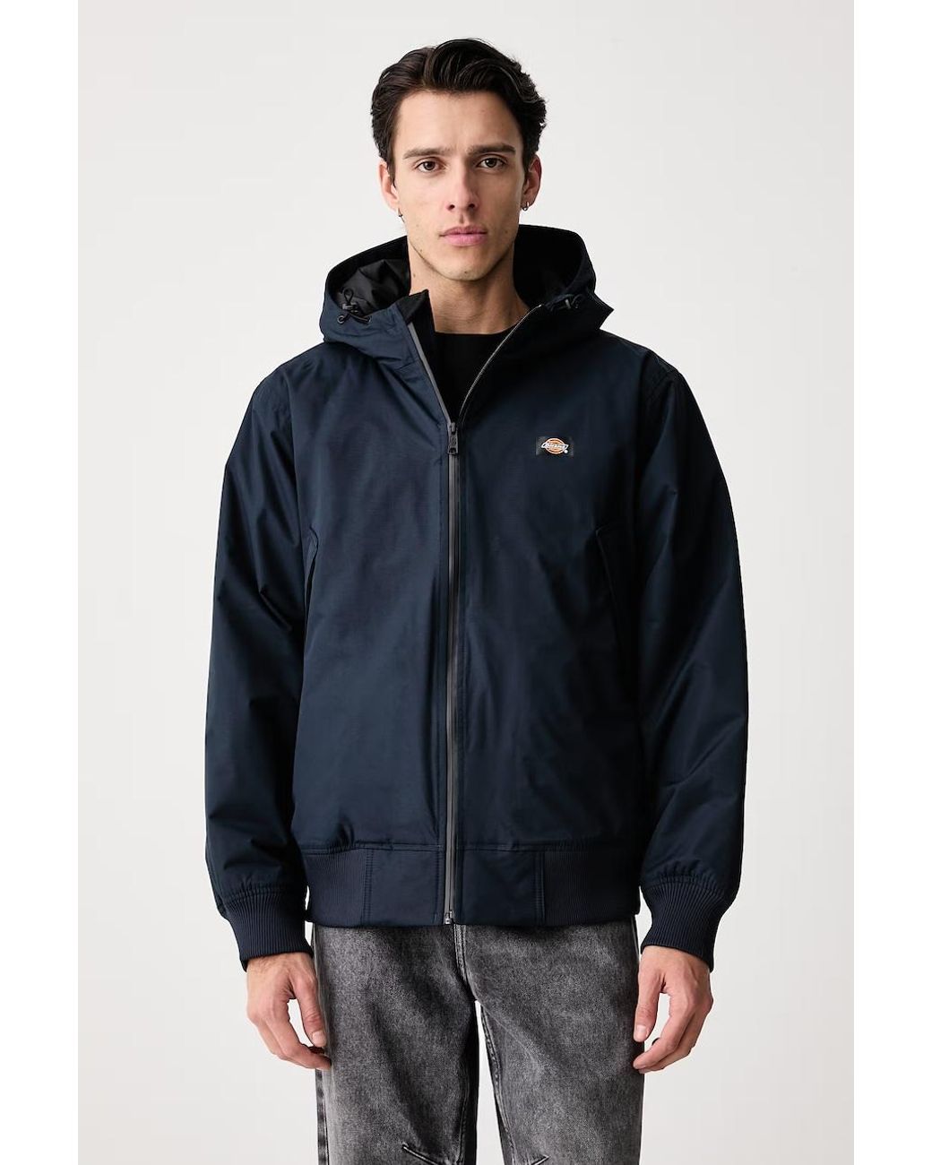 Giacca Da Uomo di Dickies in Blue da Uomo