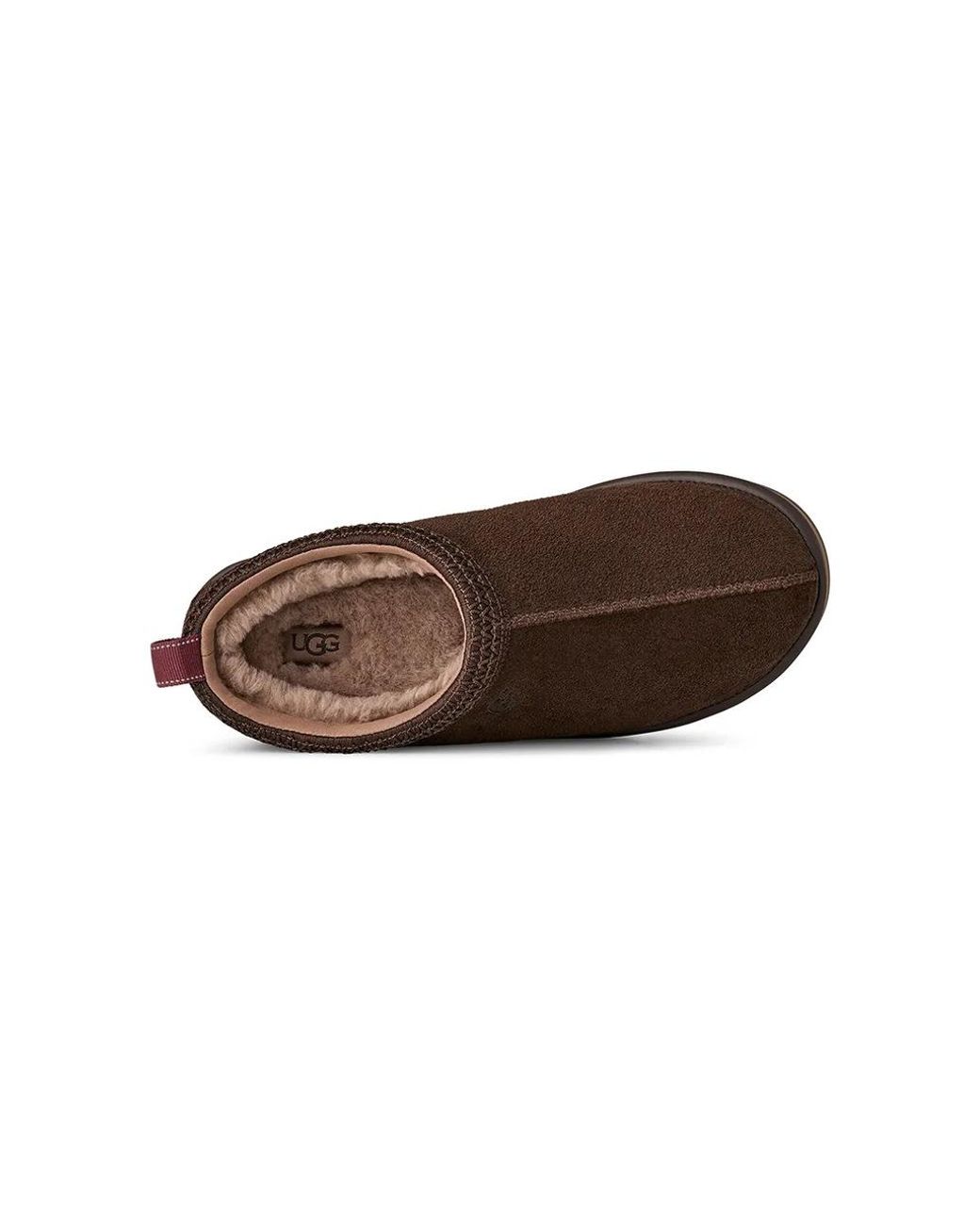 Pantofole di Ugg in Brown da Uomo