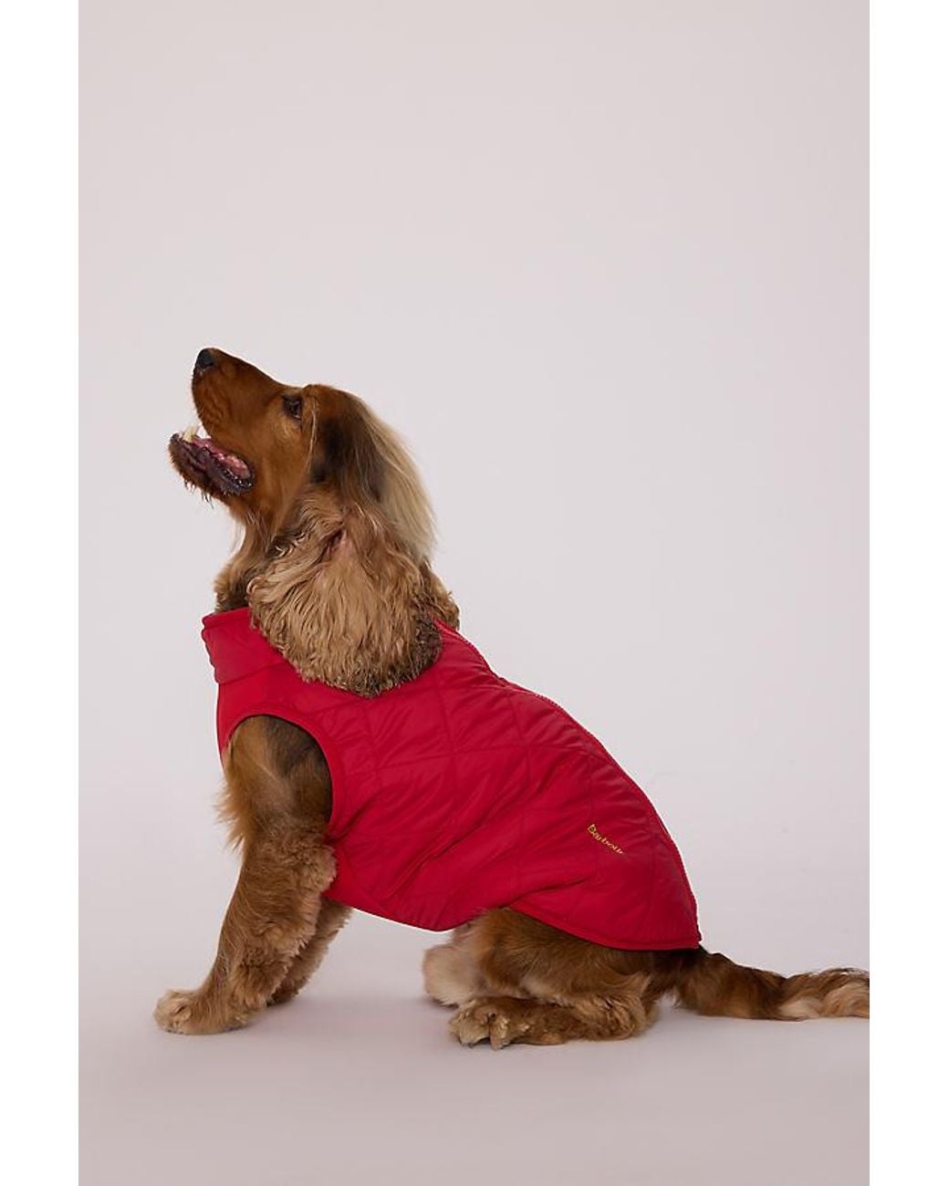 Barbour Green Field Tartan Reversible Dog Coat