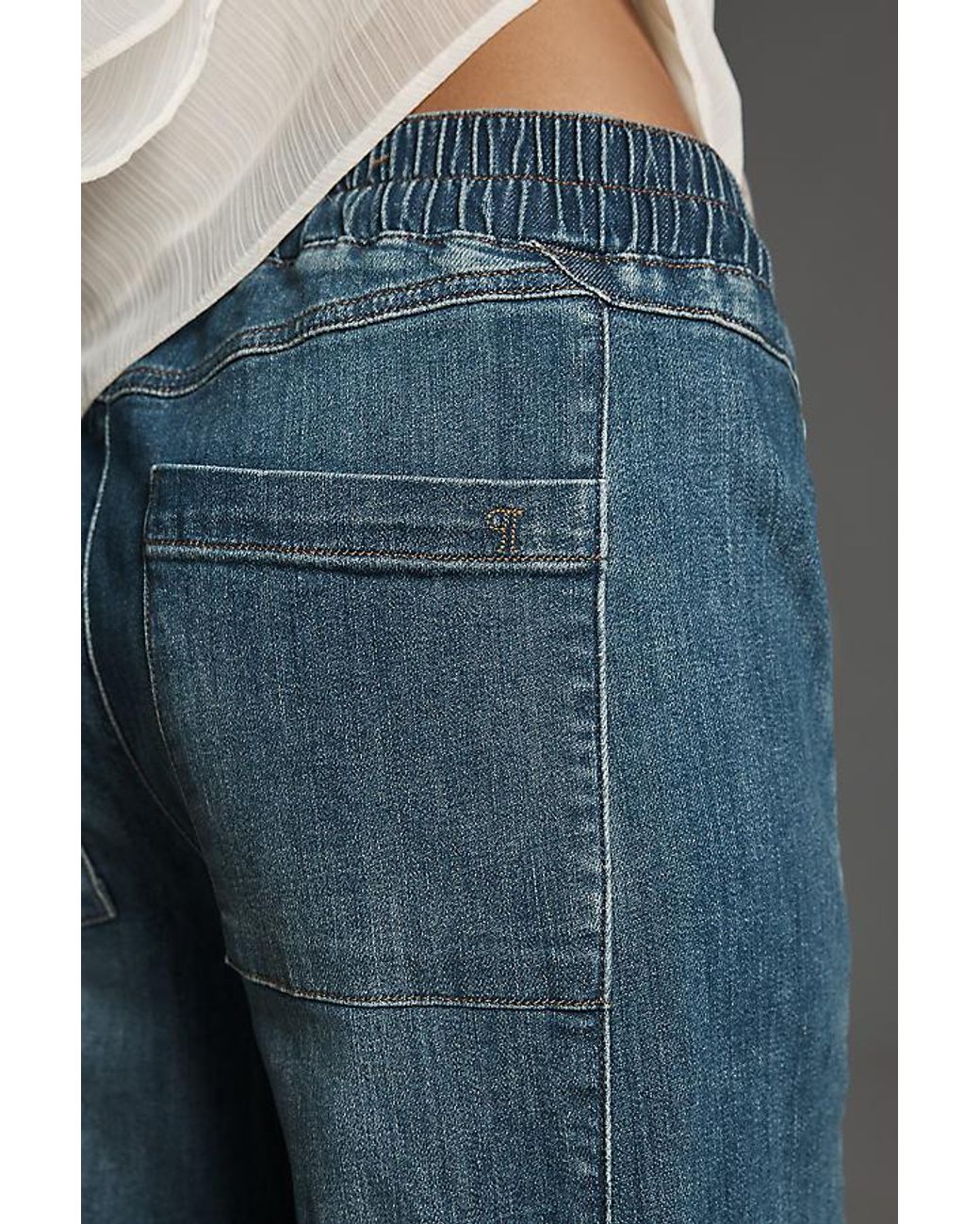 Pilcro Blue The Izzie Relaxed Pull-On Barrel Jeans By