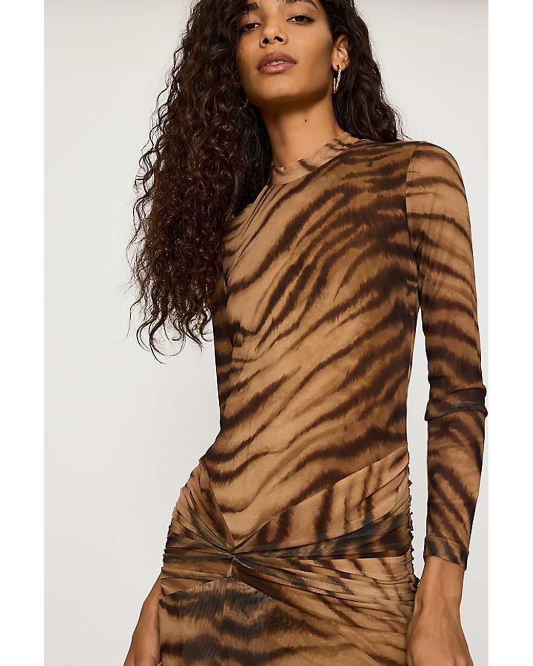 Bardot Brown Lea Printed Mesh Maxi Dress