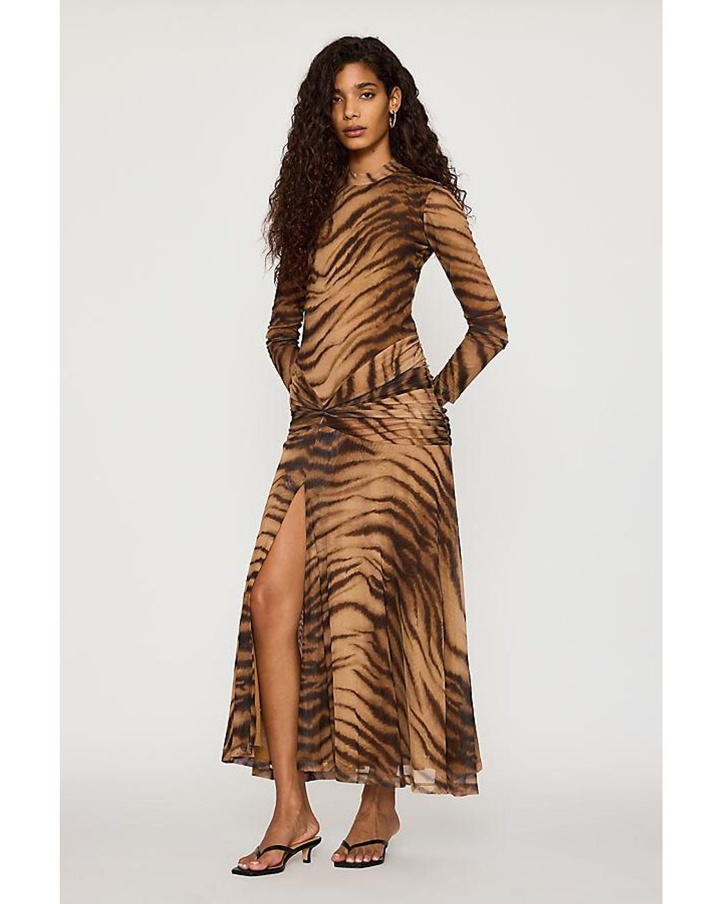 Bardot Brown Lea Printed Mesh Maxi Dress