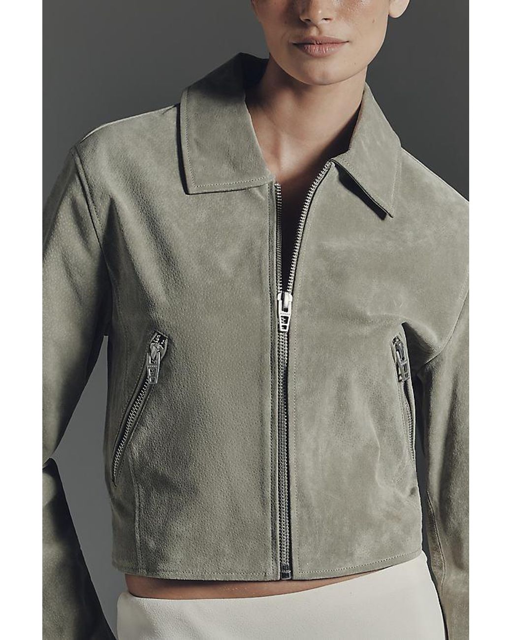 Blank NYC Gray Cropped Suede Moto Jacket