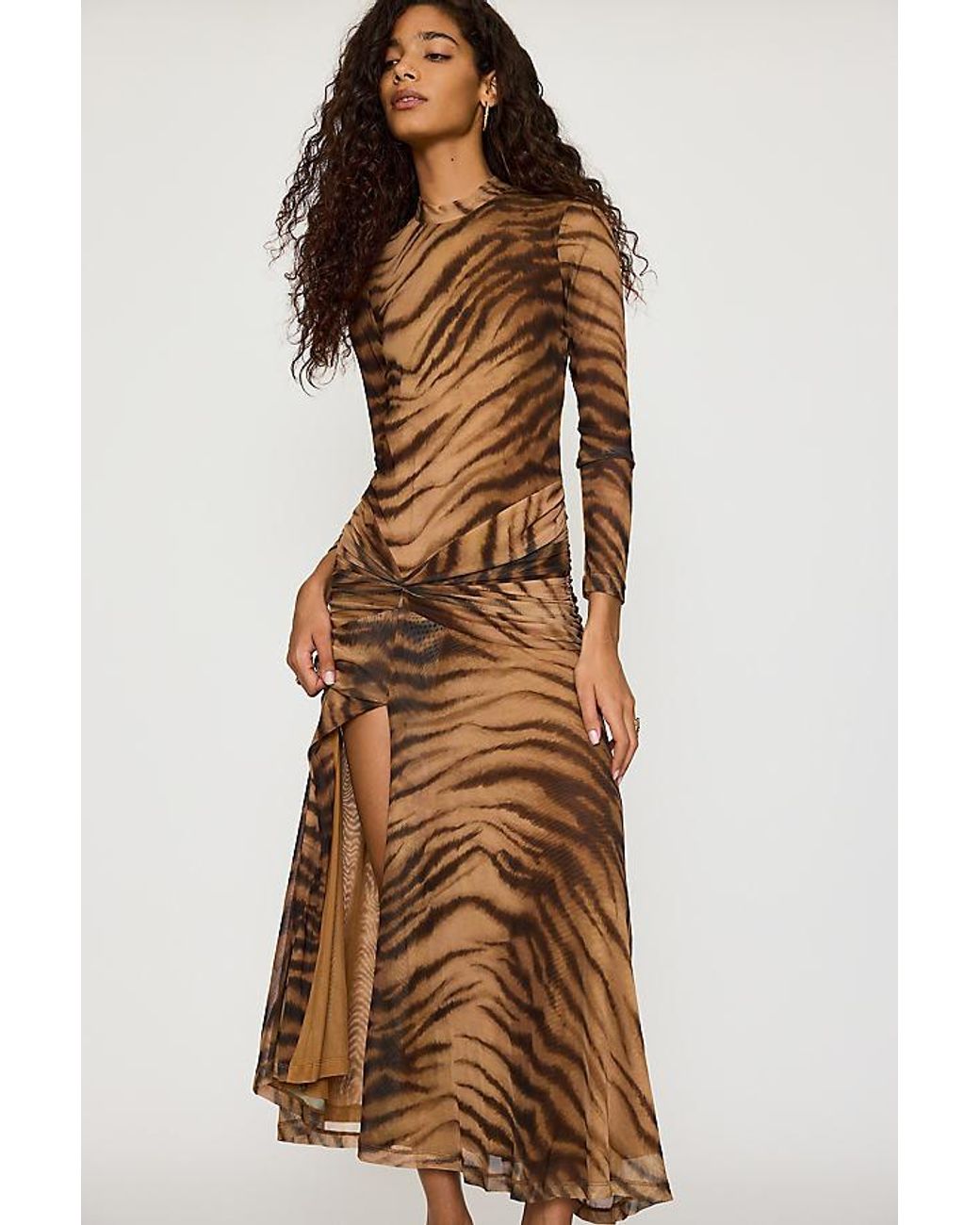 Bardot Brown Lea Printed Mesh Maxi Dress