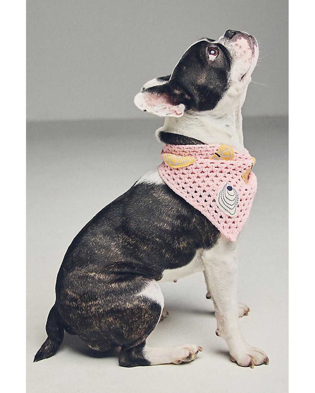 By Anthropologie Pink Crochet Pet Bandana