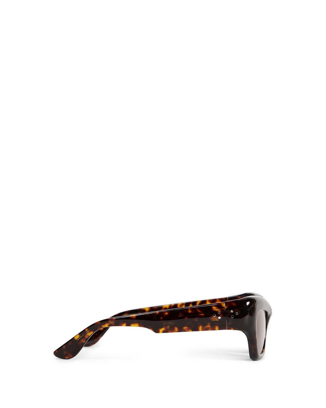 Port Tanger Brown Ayreen Sunglasses for men