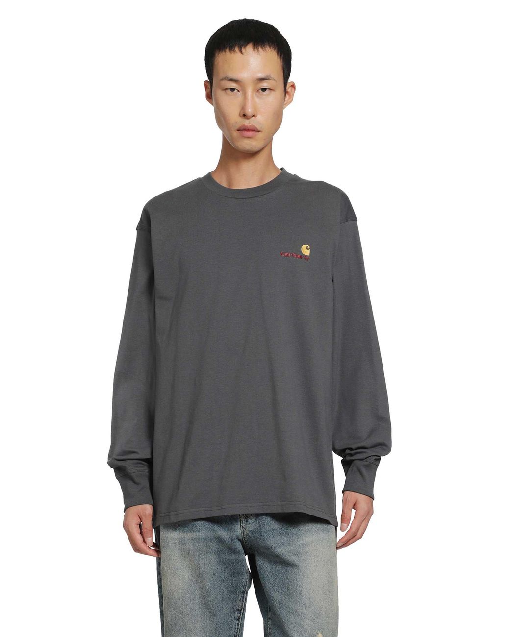 Carhartt Gray L/American Script T-Shirt for men
