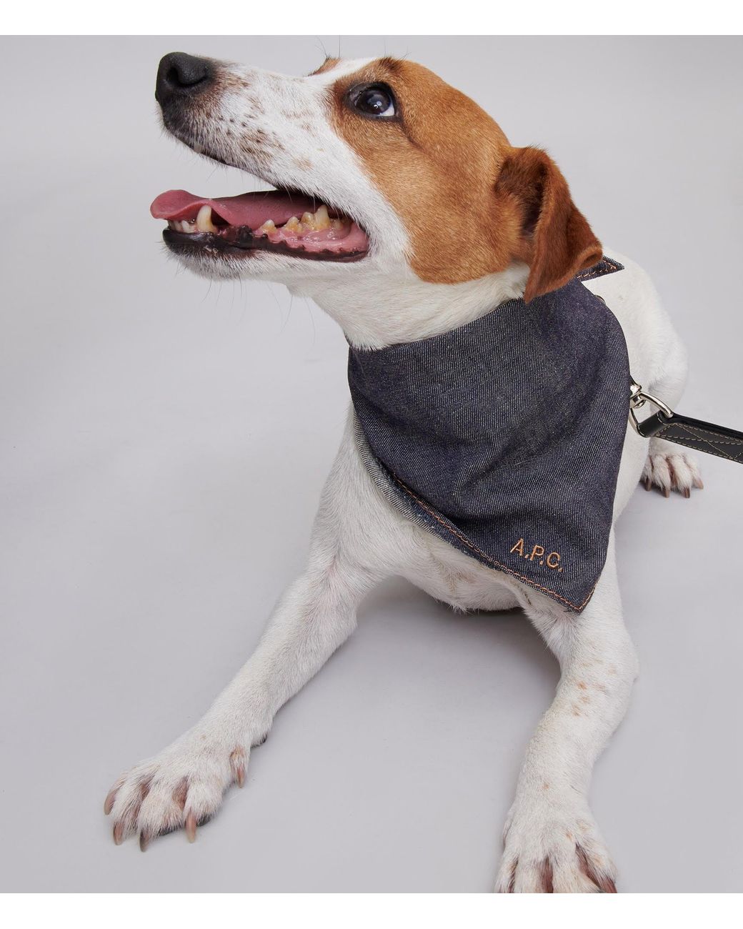 A.P.C. Blue A. P.c. Toutou Bandana Size: T1 In Indigo