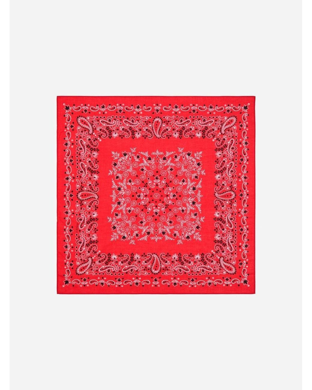 ARKET Blue Cotton Scarf