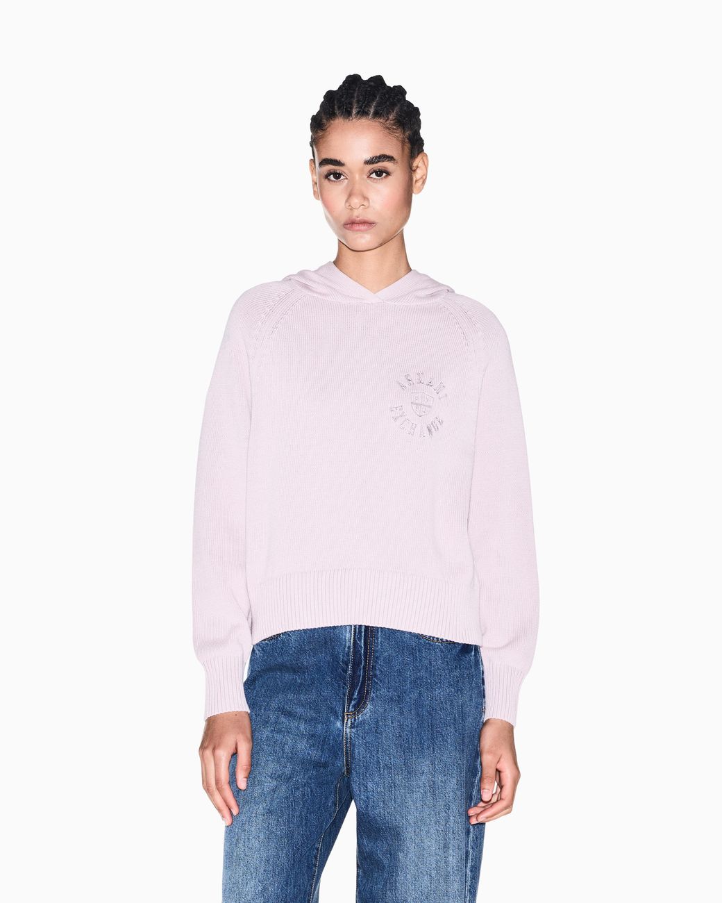 ARMANI EXCHANGE Pink Regular Fit Pullover