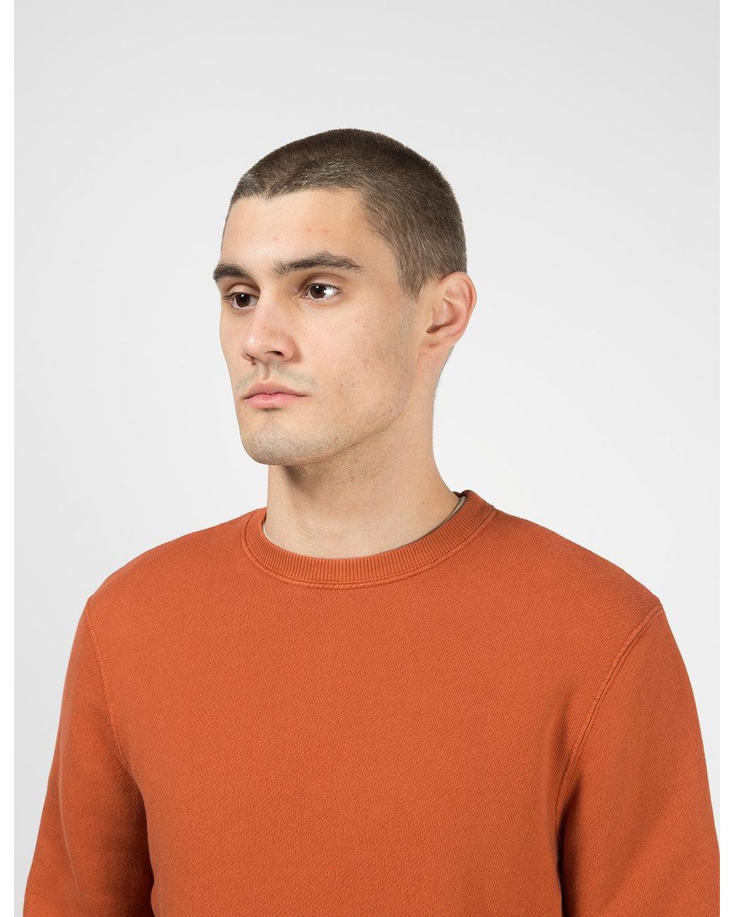 Folk Orange Folk Everyday Sweatshirt for men