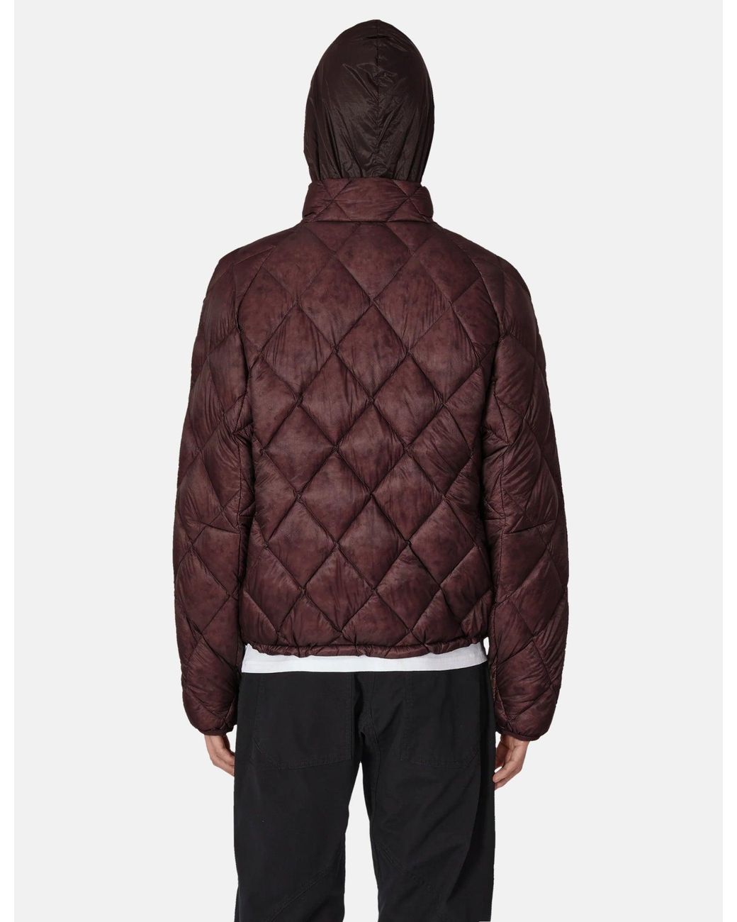 Roa Red Nuna 800 Fill Power Hooded Down Jacket for men