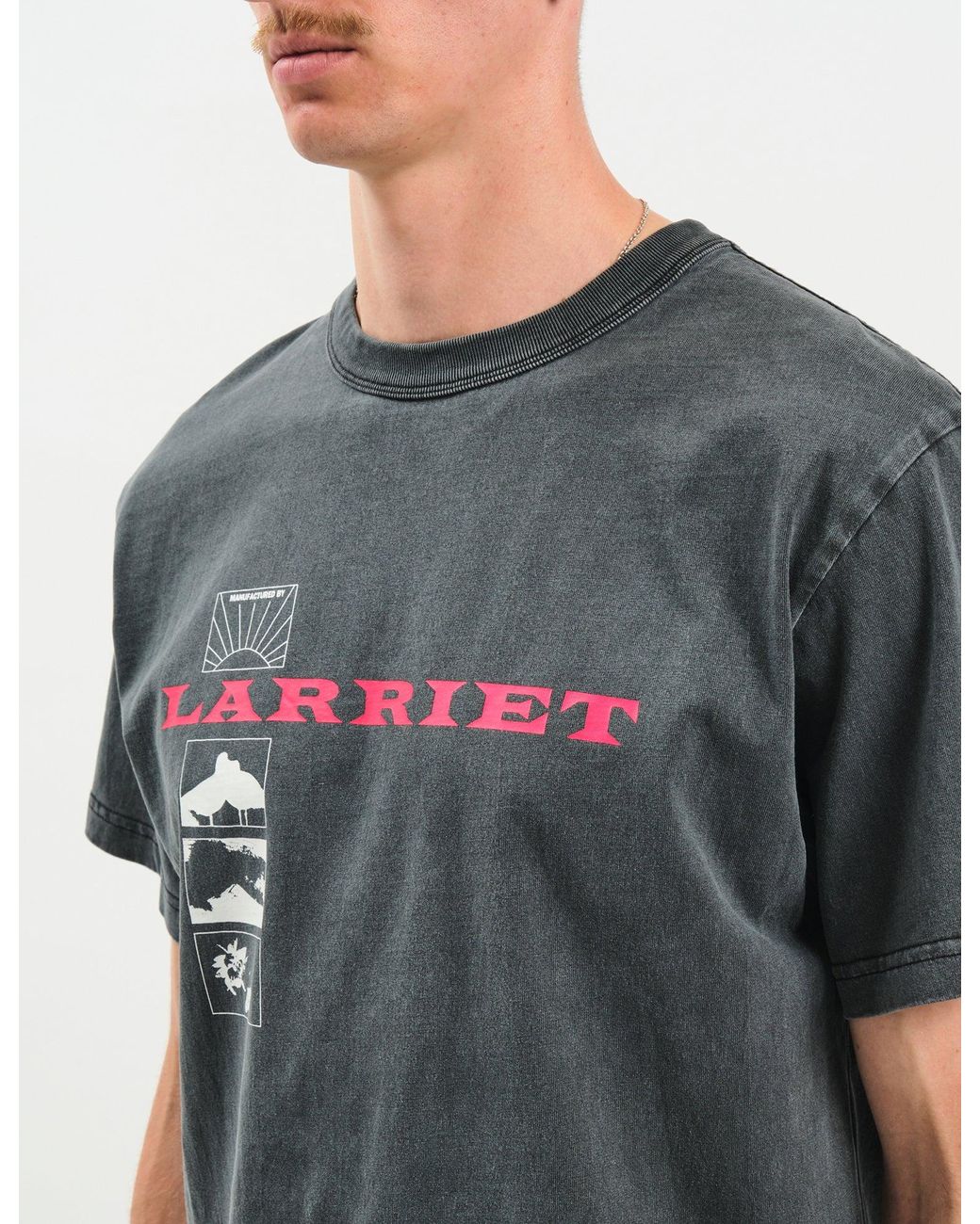 Larriet Gray Wings T-Shirt for men