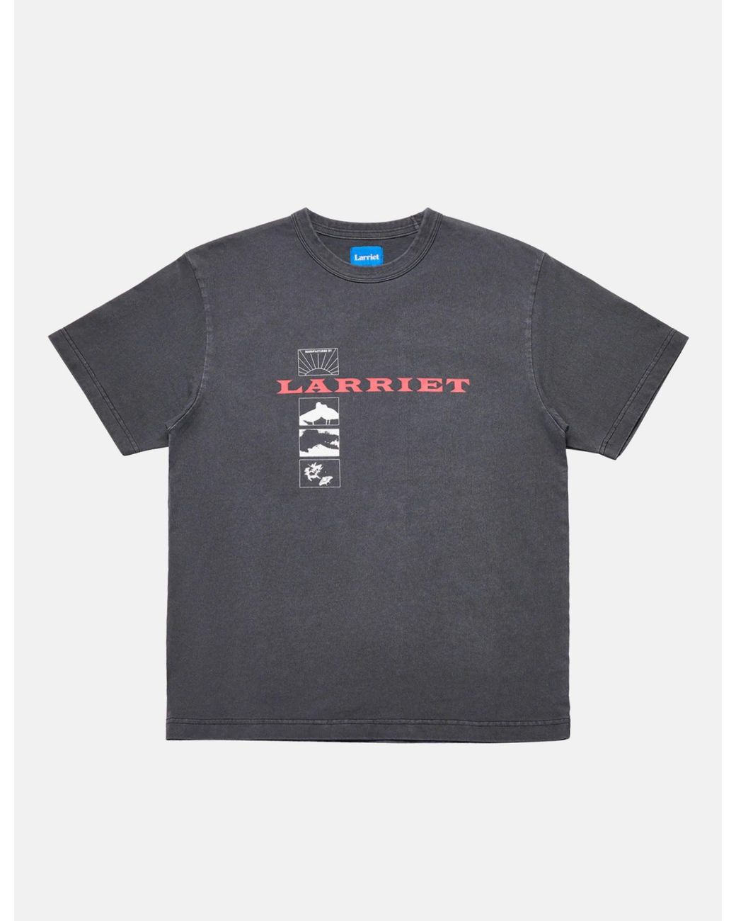 Larriet Gray Wings T-Shirt for men