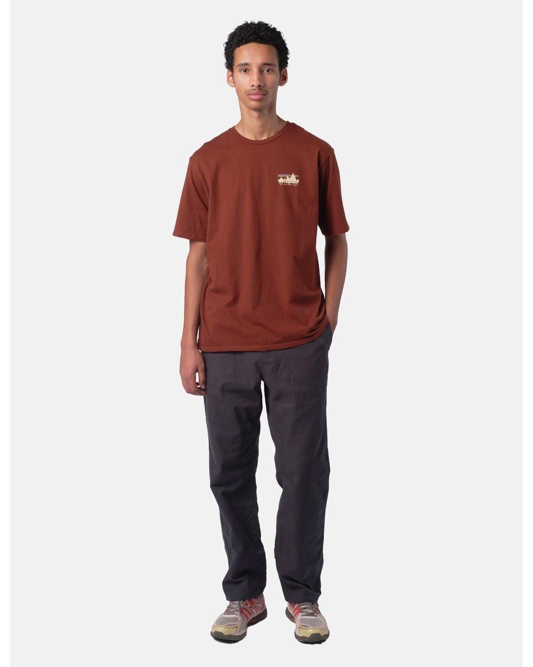 Patagonia Red '73 Skyline Organic T-Shirt for men