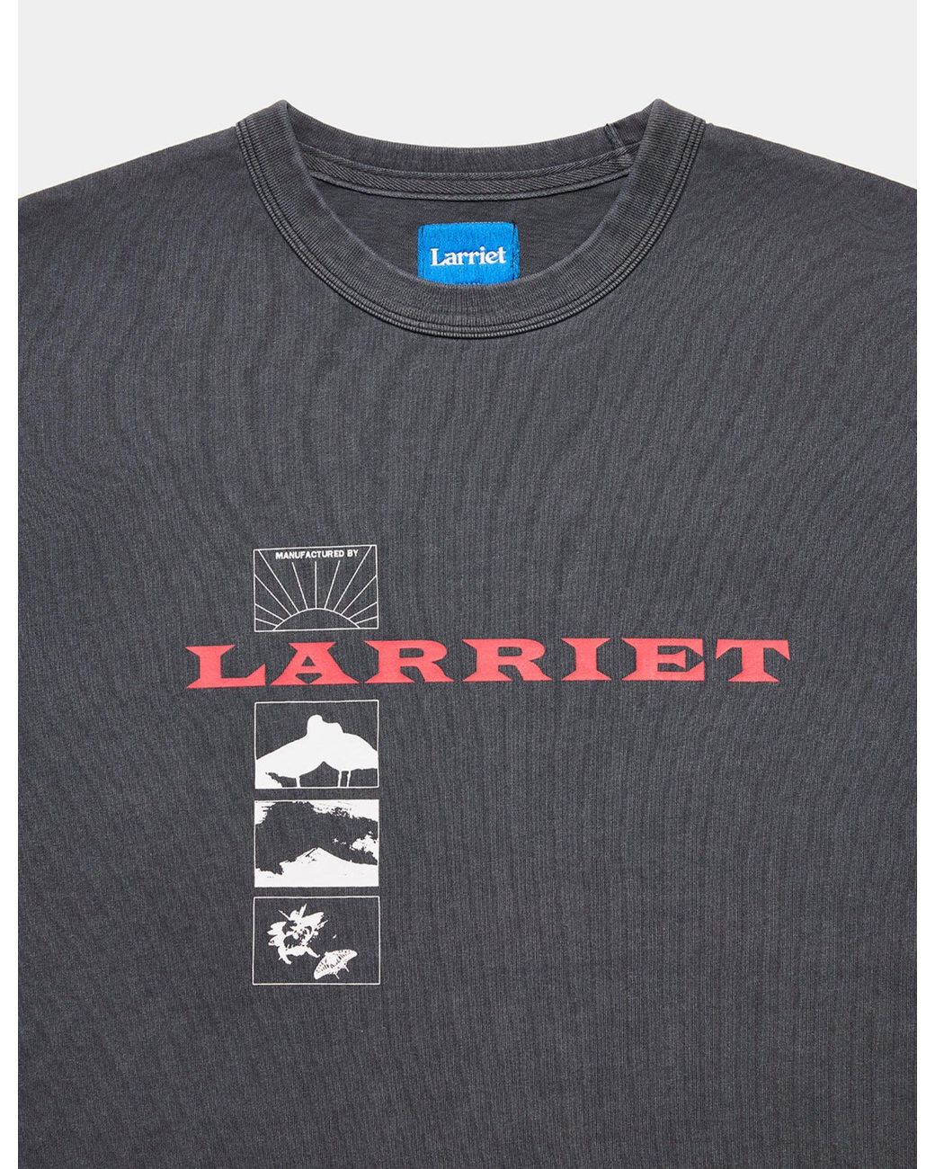 Larriet Gray Wings T-Shirt for men