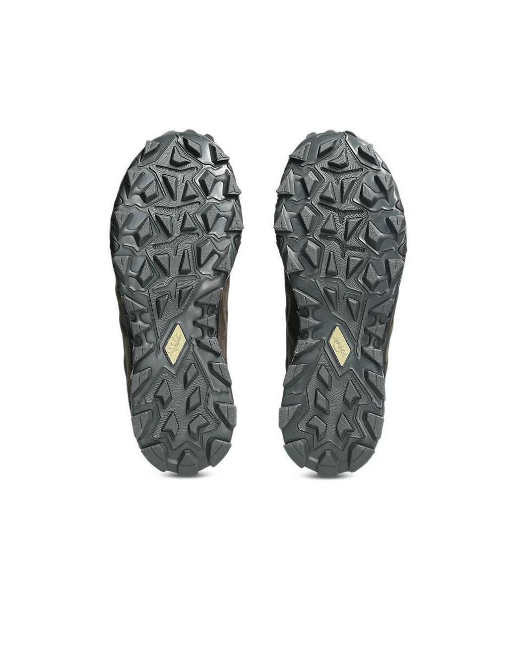 Asics Black Gel-Transcend Fj for men