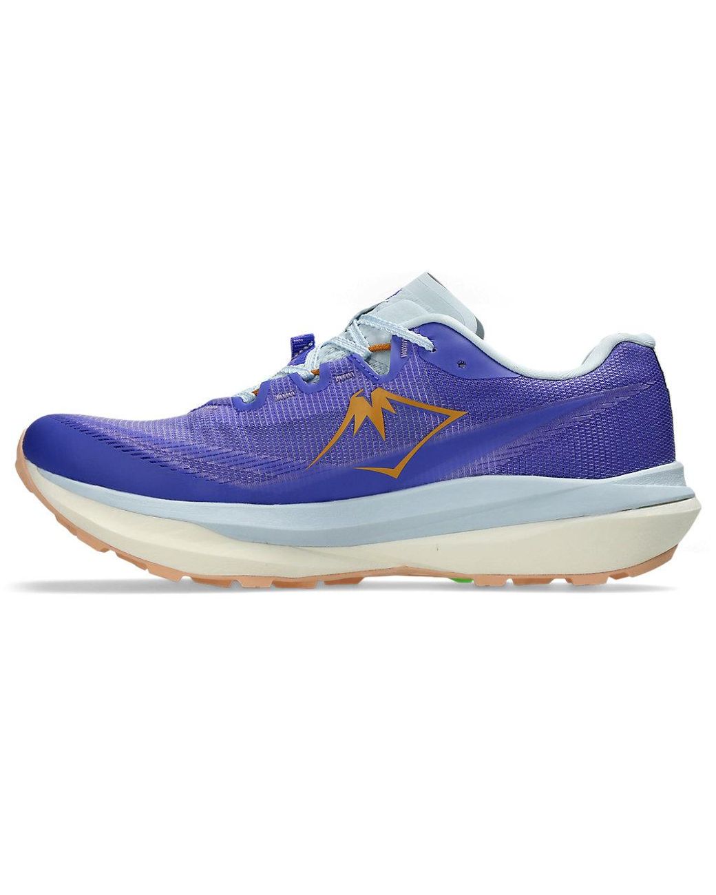 Asics FUJISPEED 4 in Blue für Herren