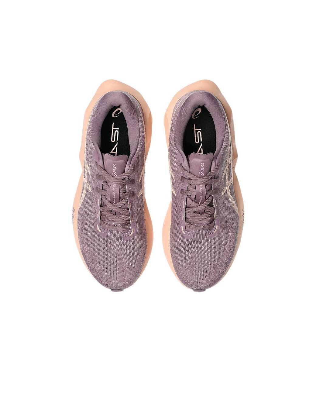 Asics Purple Novablast 6