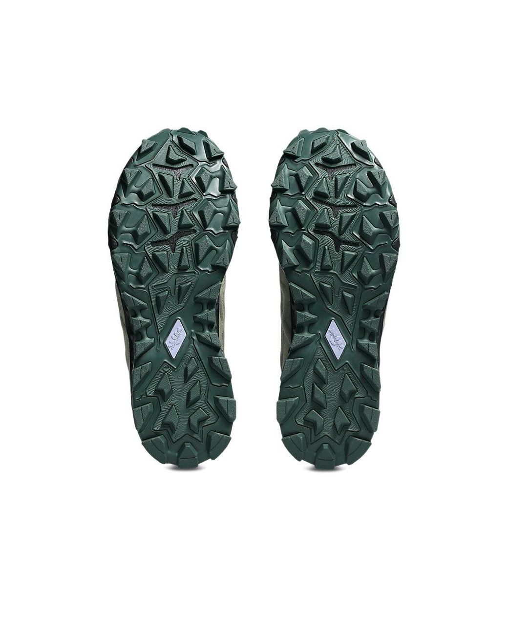 Asics Black Gel-Transcend Fj for men