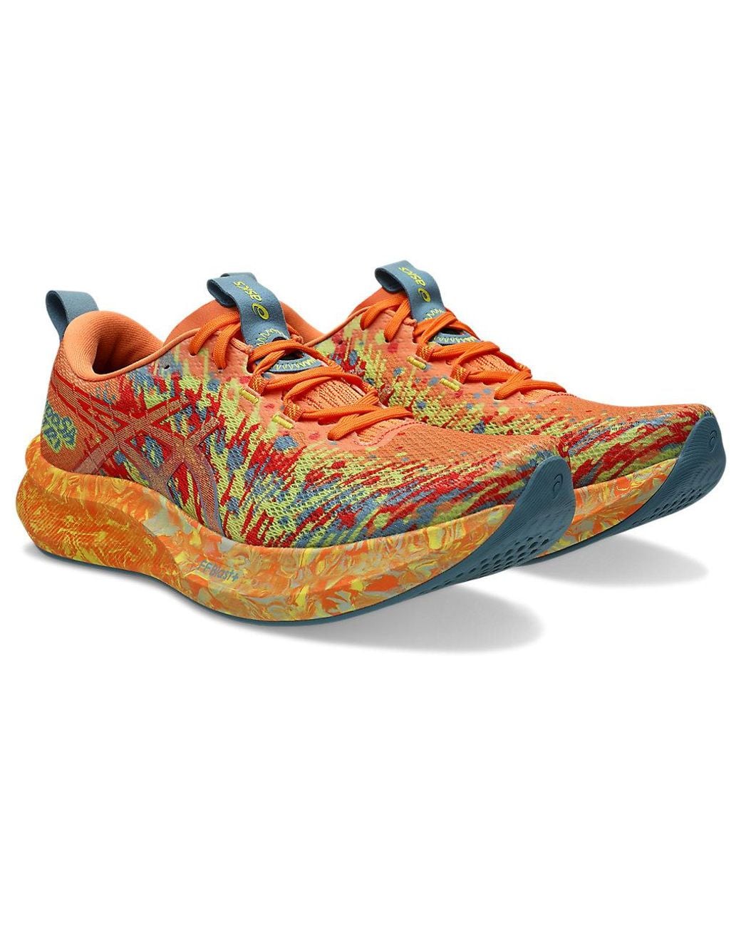 Asics Multicolor Noosa Tri 16 for men