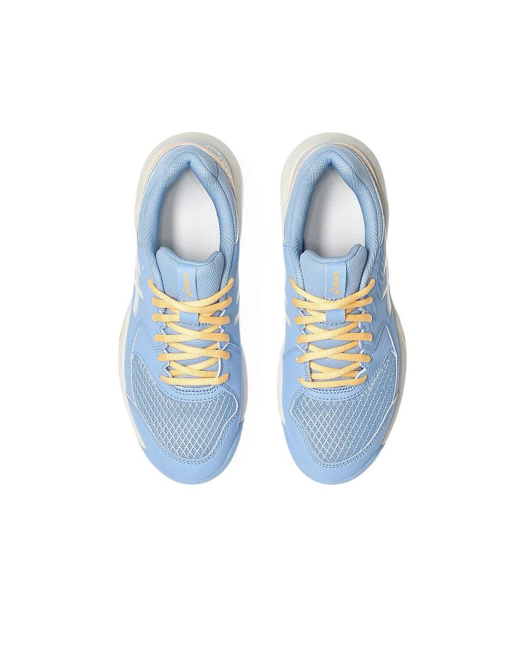 Asics Blue Gel-Dedicate 8 Padel