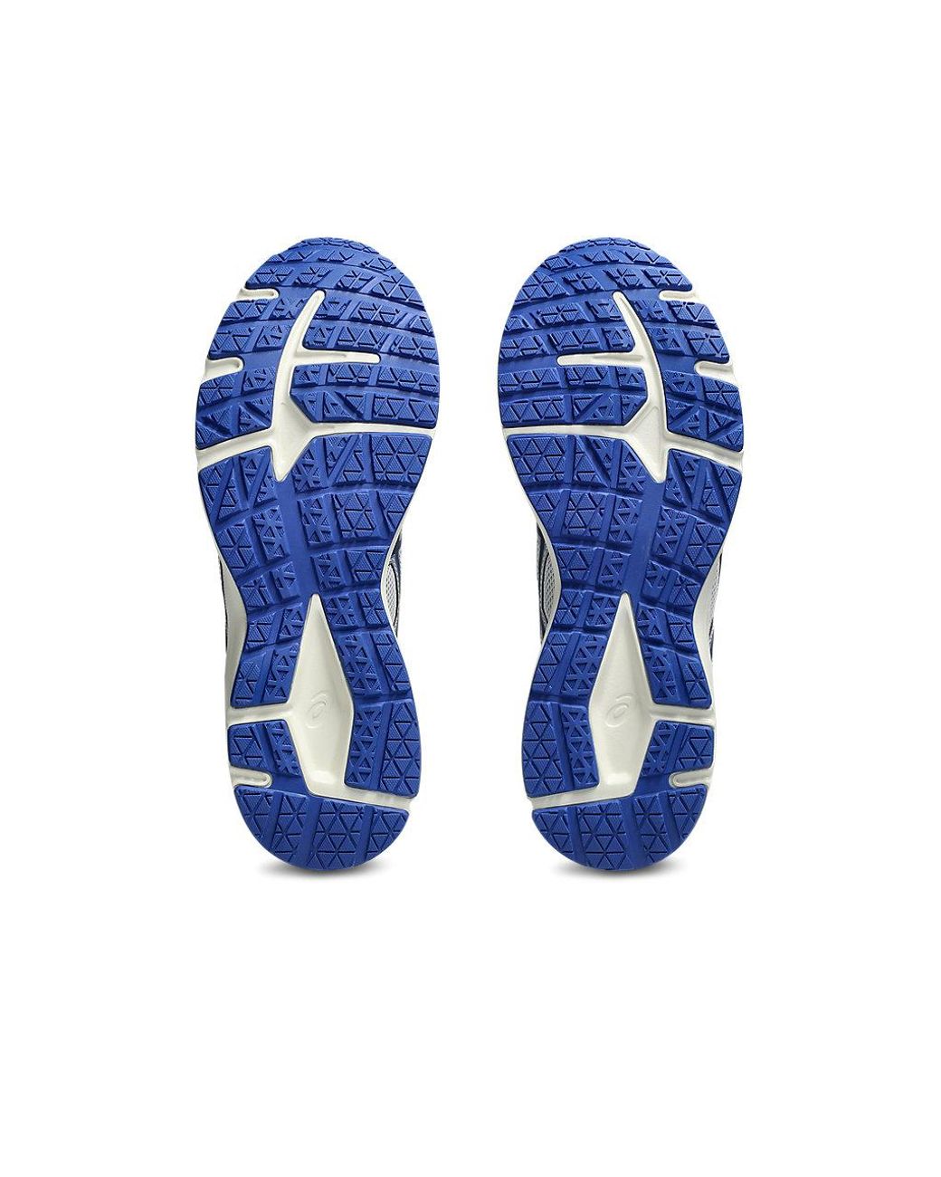 Asics Blue Jog 100S for men