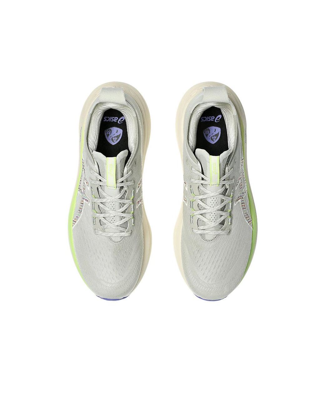 Asics Gray Gel-Nimbus 27 Tr for men