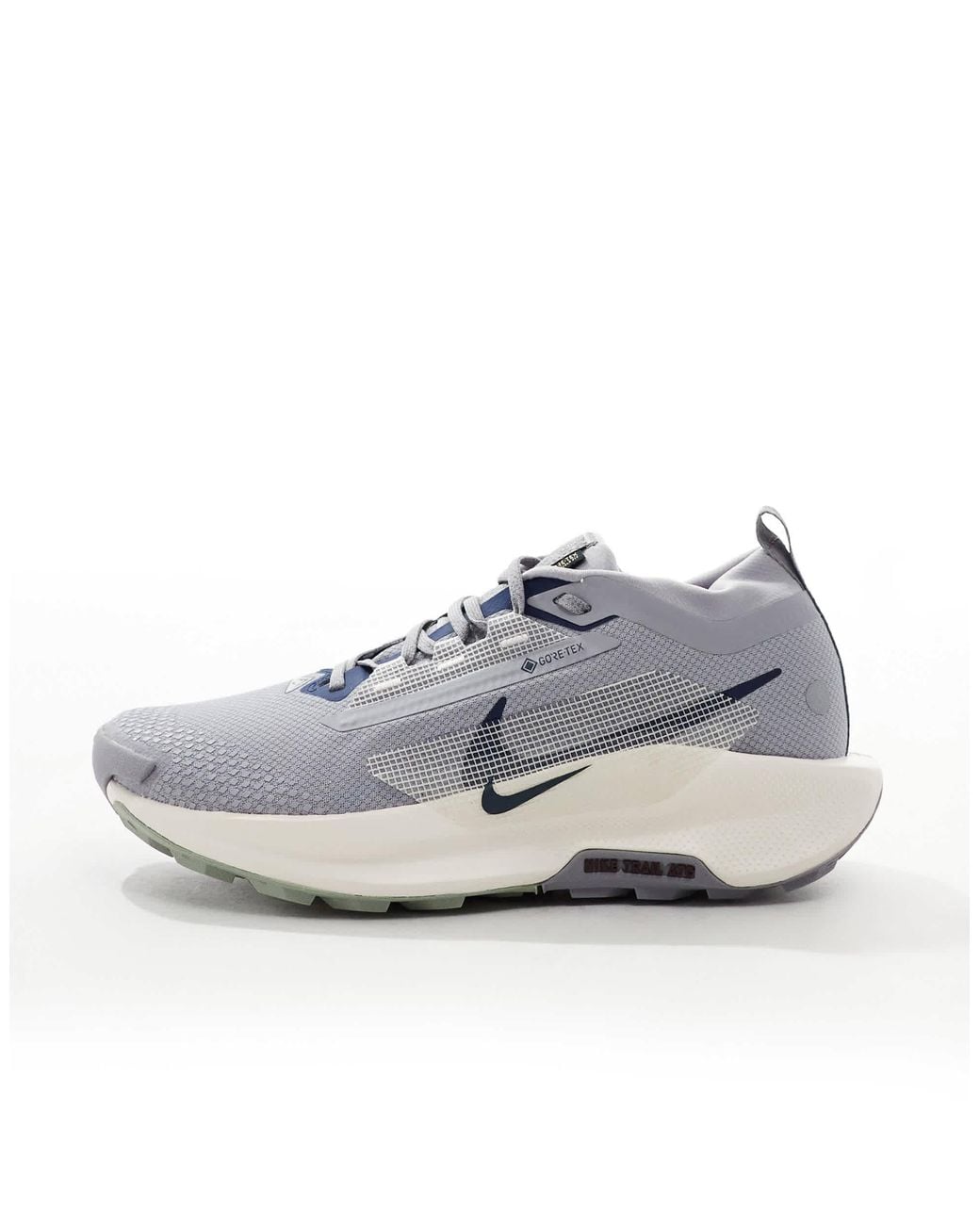 Nike Gray Reactx Pegasus Trail 5 Gore-Tex Trainers for men