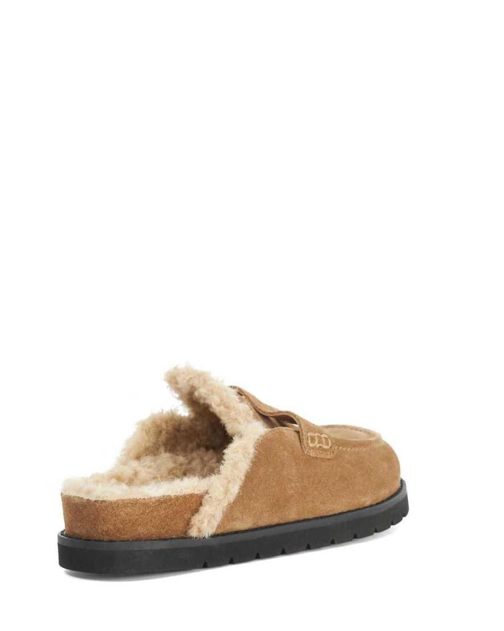 Dune Brown Goldy Mules
