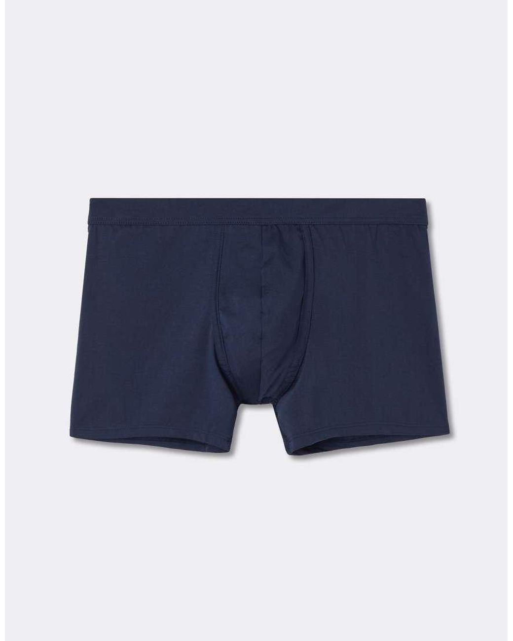 Intimissimi Blue Premium Cotton Boxers for men