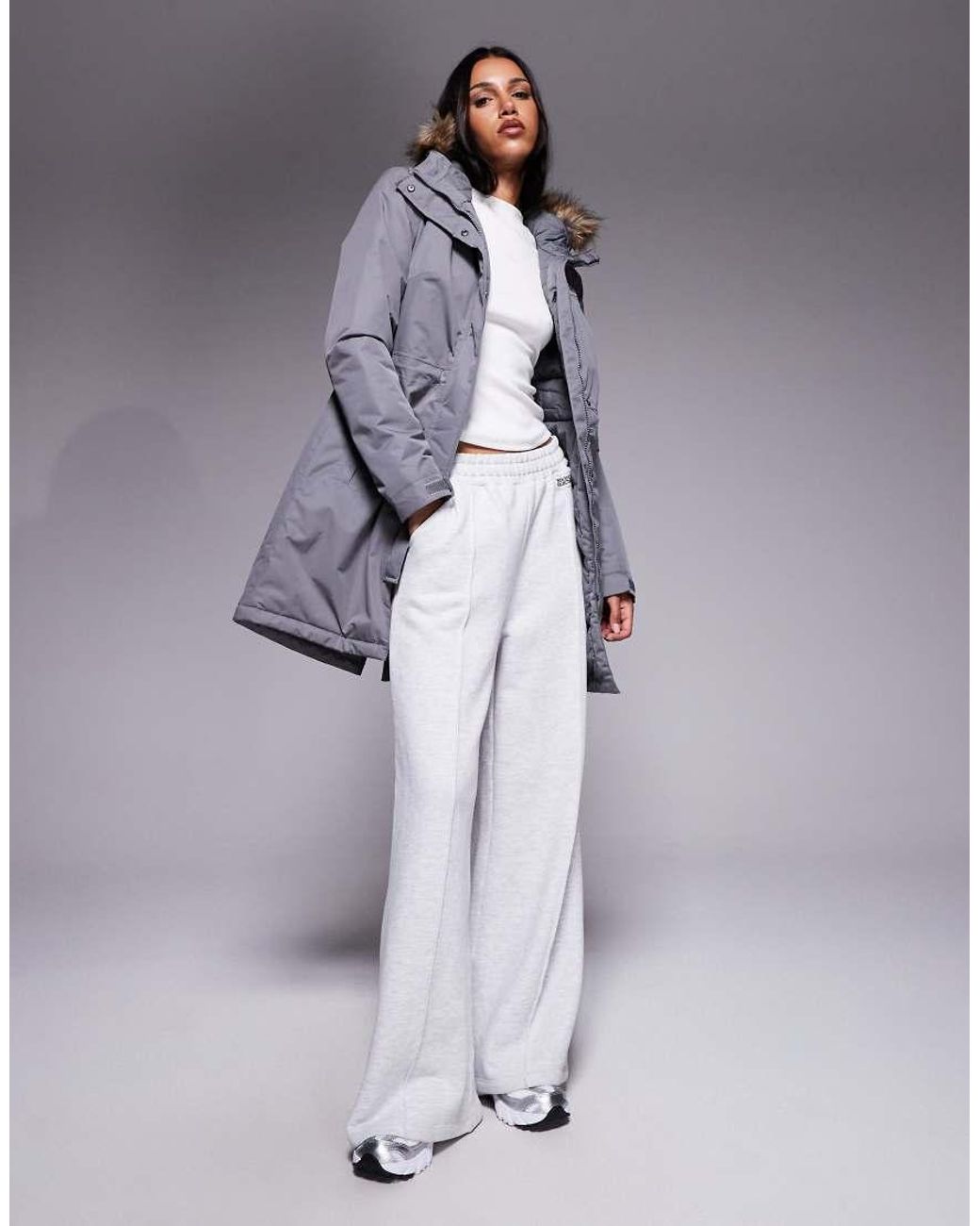 The North Face Gray Zaneck Parka