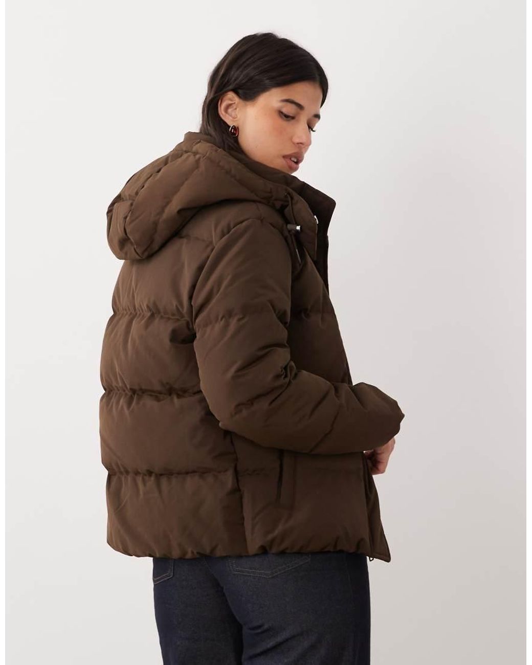Polo Ralph Lauren Brown Icon Logo Padded Jacket