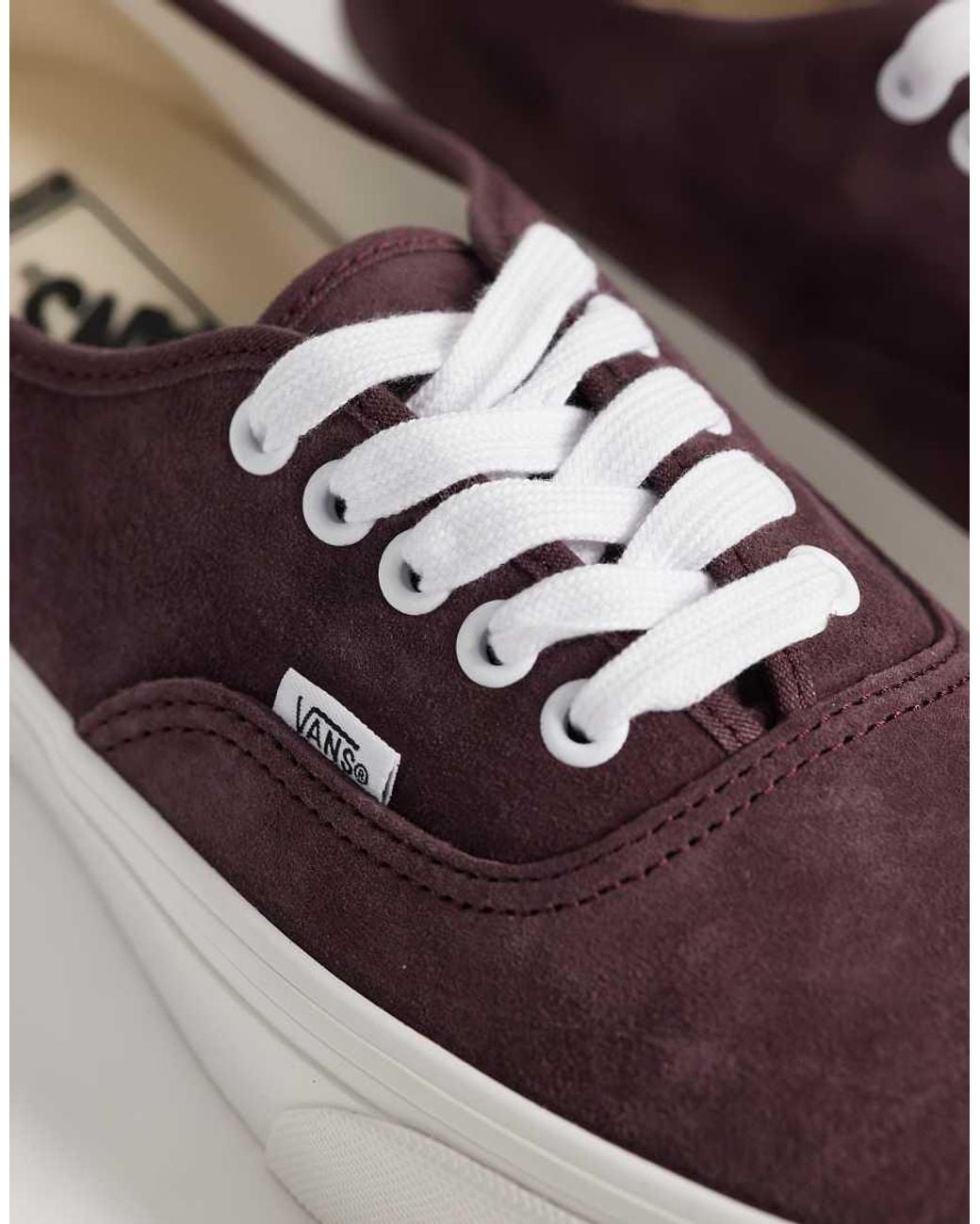 Vans Purple Authentic Trainer for men