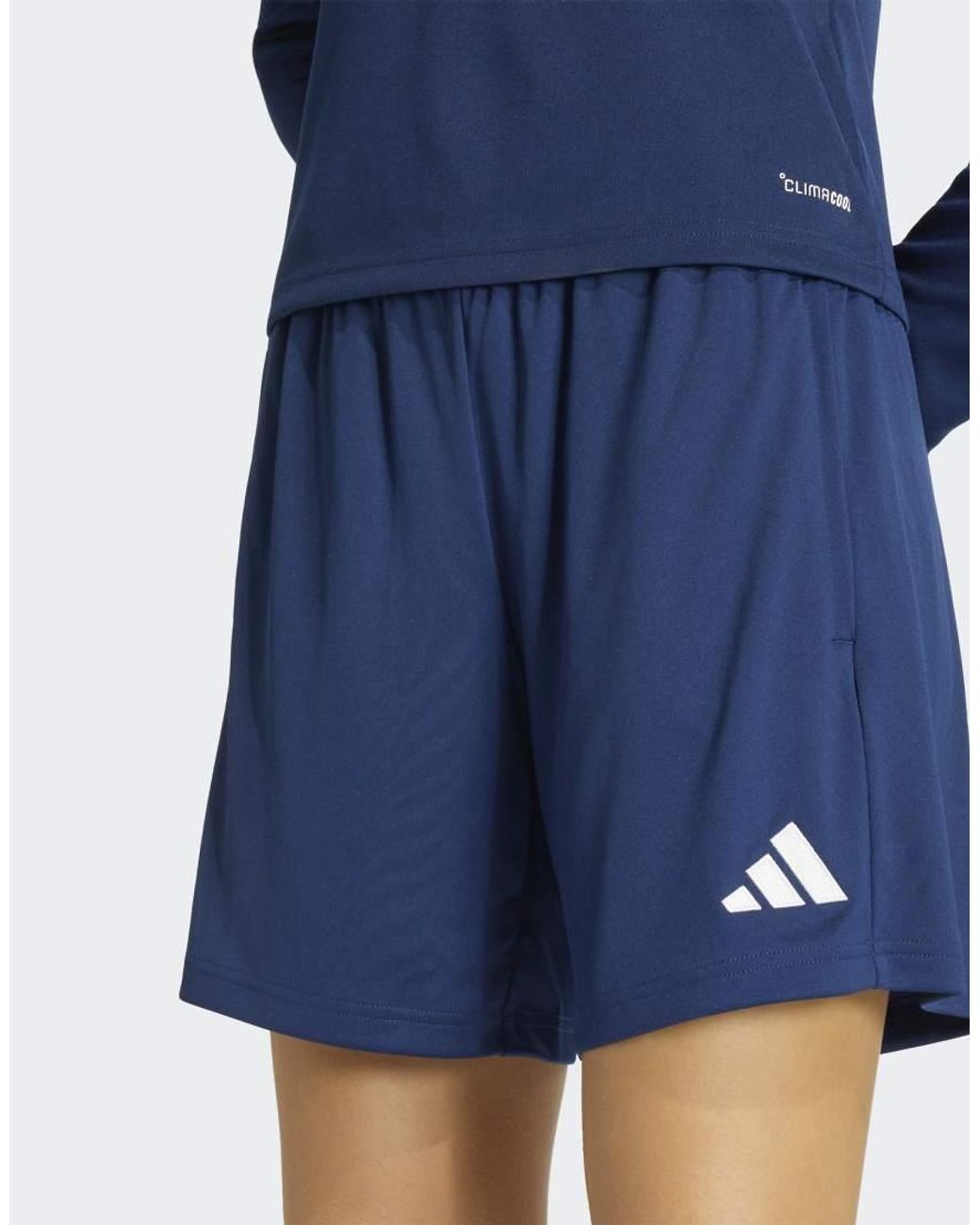 Adidas Originals Blue Entrada26 Training Shorts