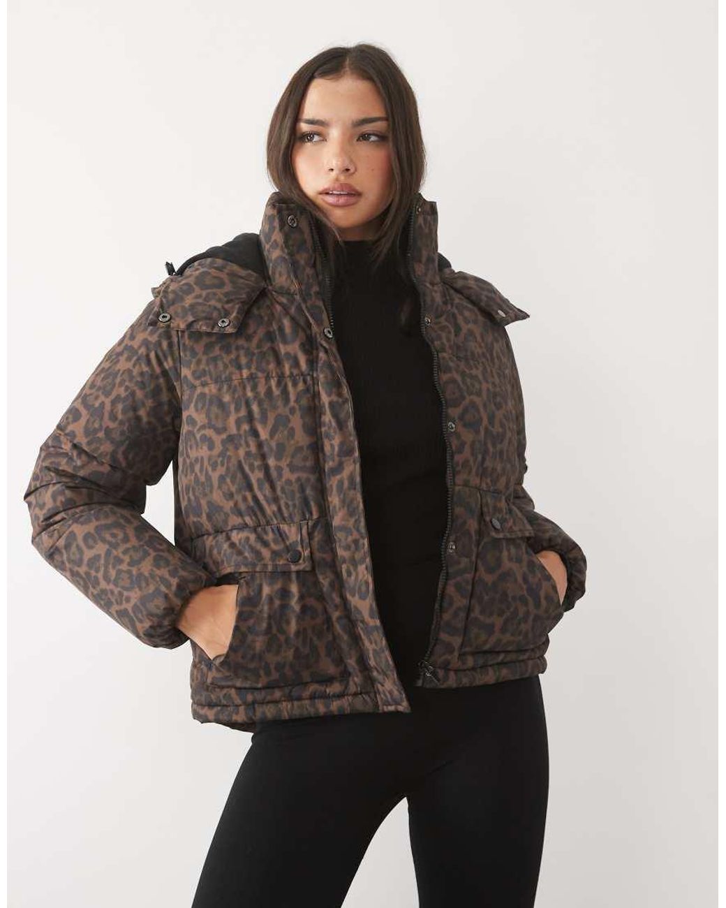 Threadbare Ski Gewatteerd Jack Met Capuchon in het Brown