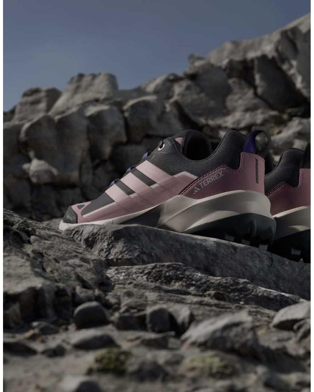 Adidas Originals Black Terrex Skychaser Ax5 Gore-tex Hiking Trainers