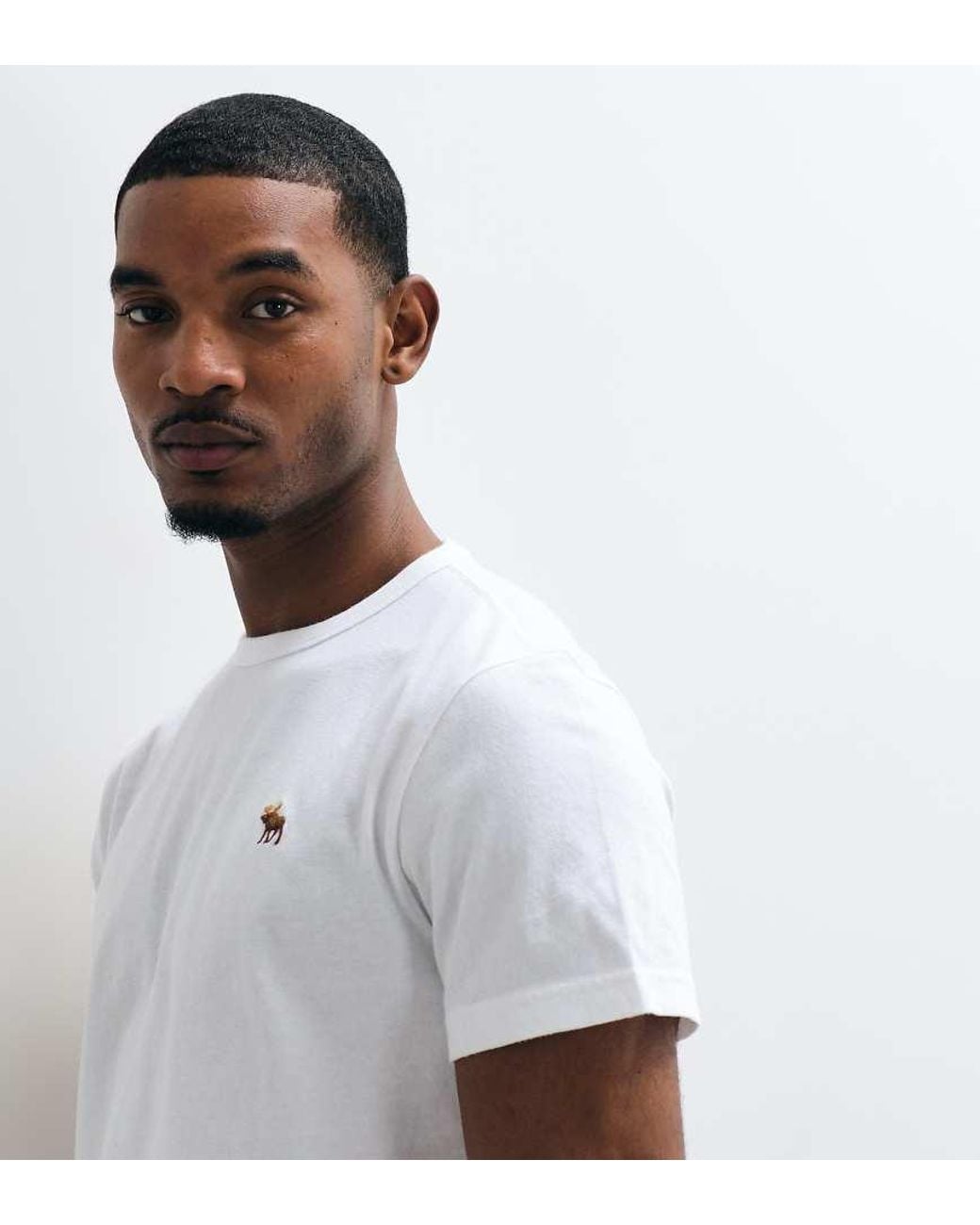 Abercrombie & Fitch White Essential Icon Logo T-Shirt for men