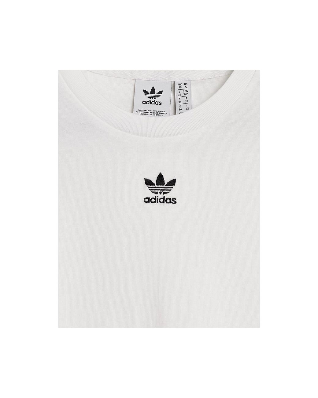 classics vector track pants