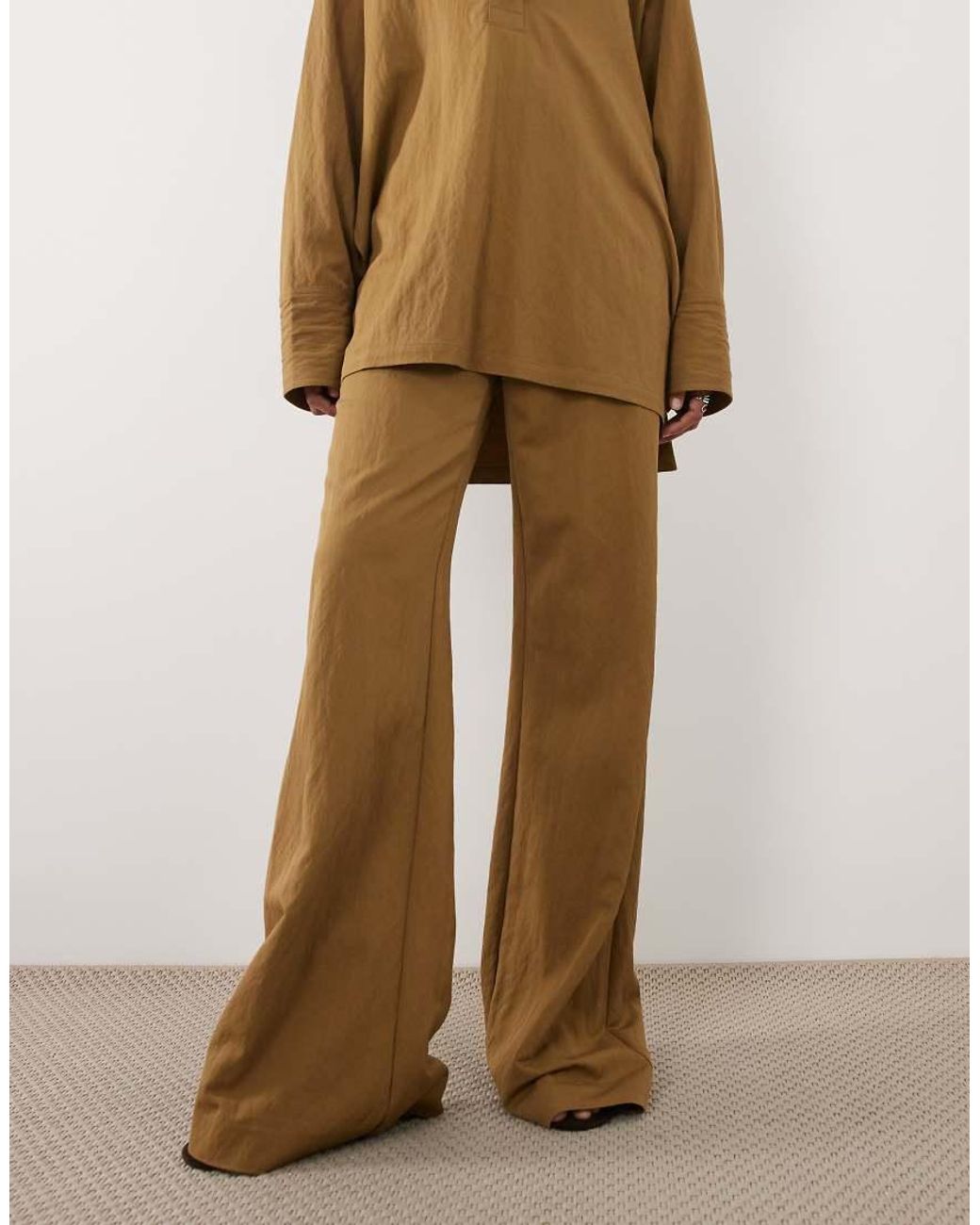 Plan di Mango in Natural