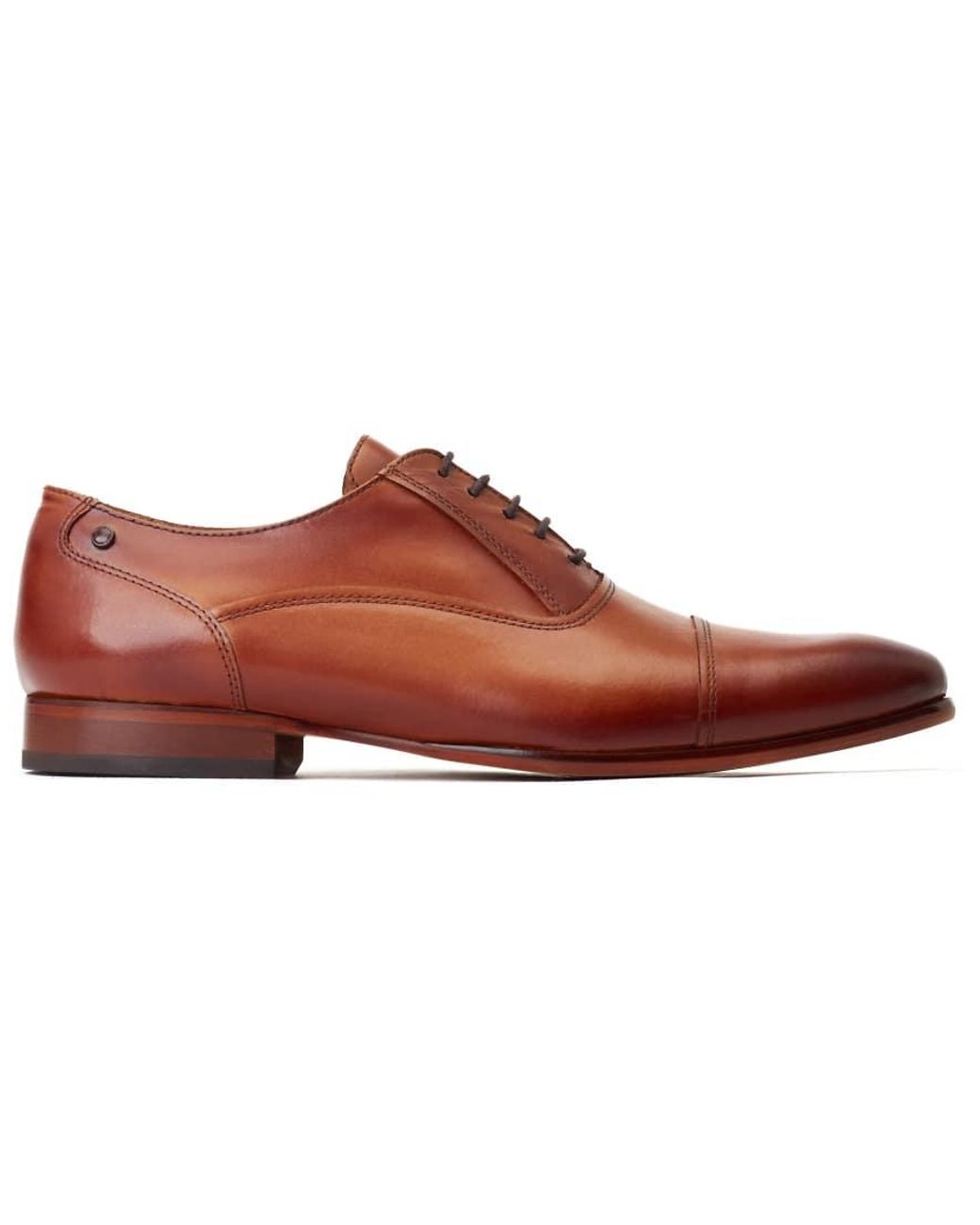 Base London Brown Angelo Derby for men