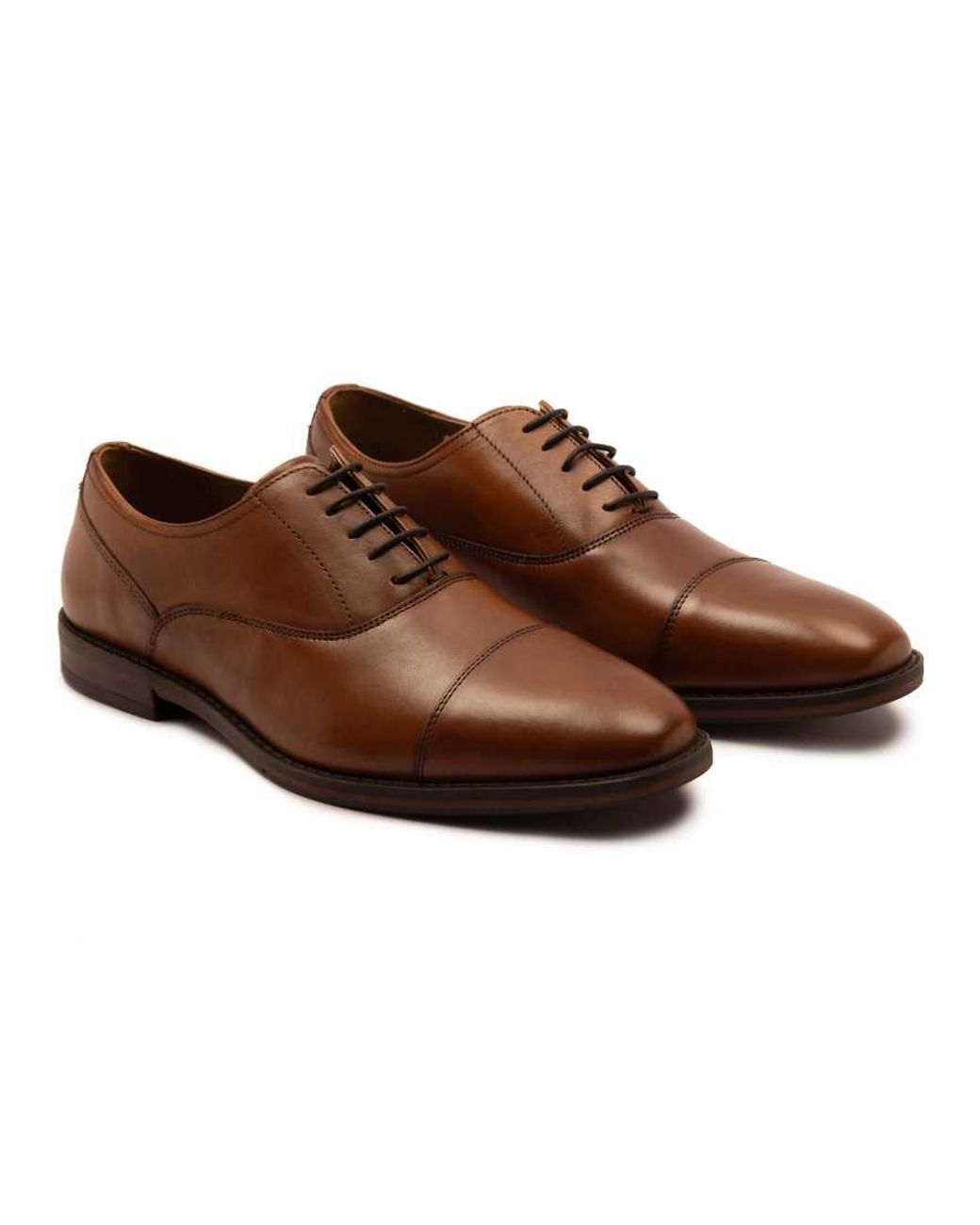 Thomas Crick Brown Merlin Leather Oxford Toecap Shoes for men