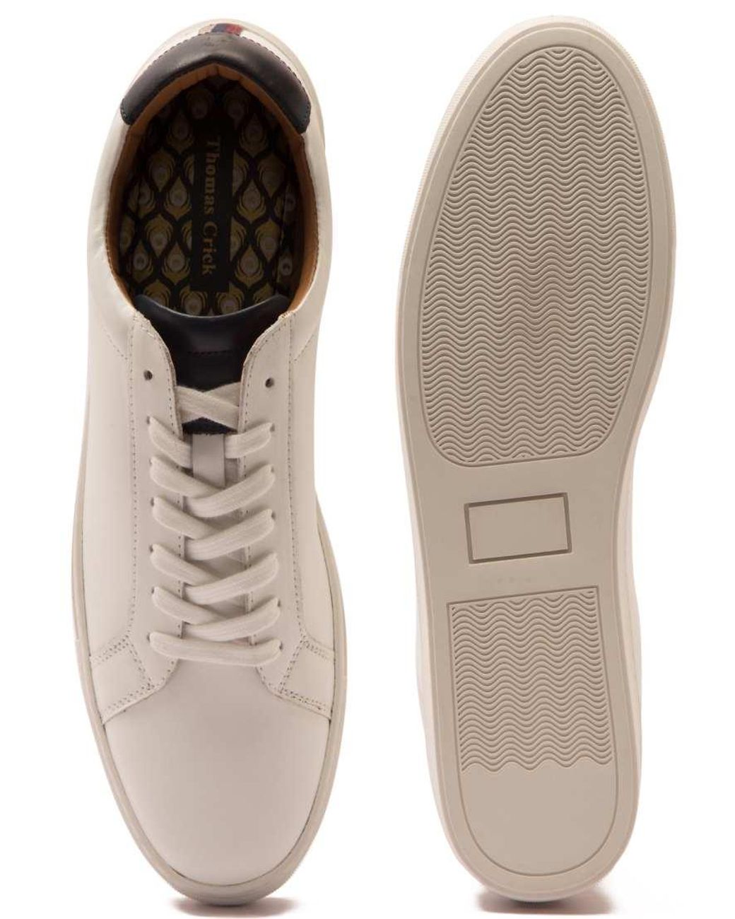 Thomas Crick White 'Evers' Casual 6 Eyelets Sneaker Trendy Shoes for men