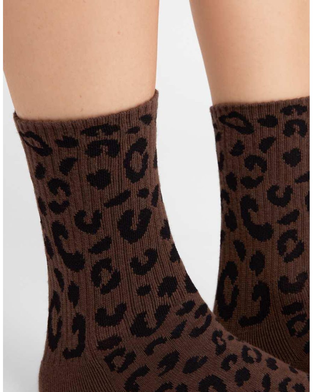 Calzedonia Brown Patterned Socks